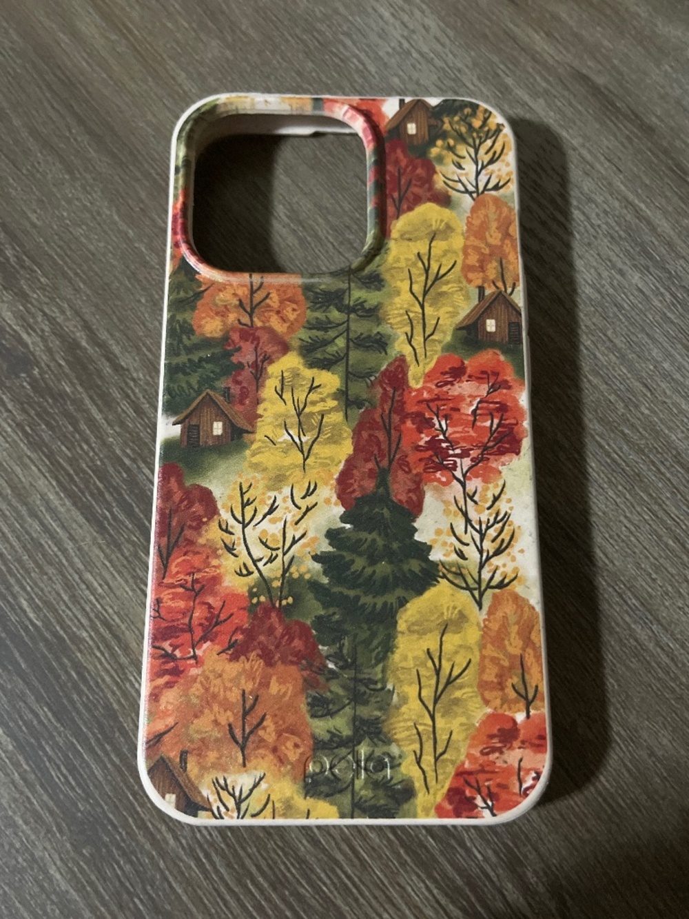 Fall iPhone 13Pro Case (Pela)